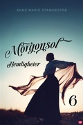 Cover: Hemligheter - Storyside