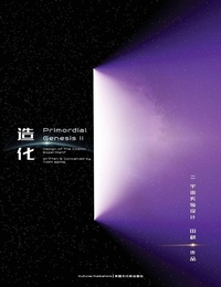 Enlarge image Cover: Primordial Genesis · Volume II Design of the Cosmic Experiment - Icultures Publications