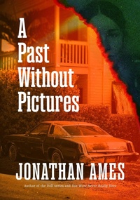 Enlarge image Cover: A Past Without Pictures - Mysterious Press