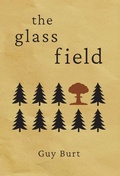 Cover: The Glass Field - Jaro Press