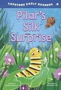 Cover: Pilar's Silk Surprise - Picture Window Books