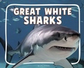 Cover: Great White Sharks - Pebble Books