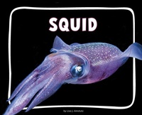 Enlarge image Cover: Squid - Pebble Books