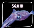 Cover: Squid - Pebble Books