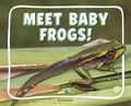 Cover: Meet Baby Frogs! - Pebble Books