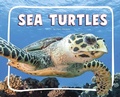 Cover: Sea Turtles - Pebble Books
