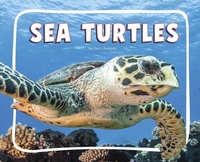 Enlarge image Cover: Sea Turtles - Pebble Books