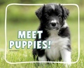 Cover: Meet Puppies! - Pebble Books