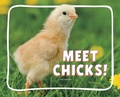 Cover: Meet Chicks! - Pebble Books