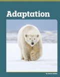 Cover: Adaptation - Capstone Value Library