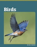 Cover: Birds - Capstone Value Library