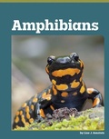 Cover: Amphibians - Capstone Value Library