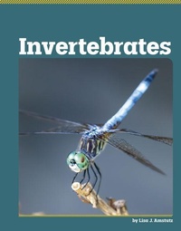 Enlarge image Cover: Invertebrates - Capstone Value Library