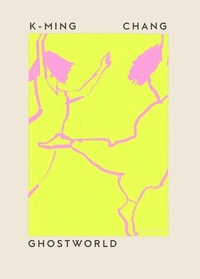 Enlarge image Cover: Ghostworld - Transit Books