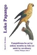 Cover: Loko Papango - Life is a Story Problem LLC