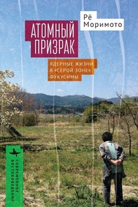 Enlarge image Cover: Nuclear Ghost - Academic Studies Press