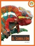 Cover: El Camale&oacute;n - Creative Company