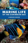 Cover: Marine Life of the Caribbean Sea - Princeton University Press