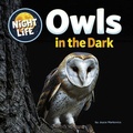 Cover: Owls in the Dark - Cherry Lake Publishing
