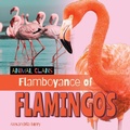 Cover: Flamboyance of Flamingos - Cherry Lake Publishing