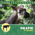 Cover: Okapis in the Wild - Cherry Lake Publishing