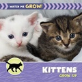 Cover: Kittens Grow Up - Cherry Lake Publishing