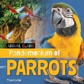 Cover: Pandemonium of Parrots - Cherry Lake Publishing