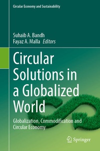 Enlarge image Cover: Circular Solutions in a Globalized World - Springer