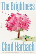 Cover: The Brightness - Little, Brown and Company