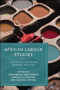 Enlarge image Cover: African Labour Studies - Bristol University Press