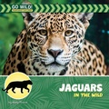 Cover: Jaguars in the Wild - Cherry Lake Publishing