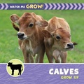 Cover: Calves Grow Up - Cherry Lake Publishing
