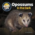 Cover: Opossums in the Dark - Cherry Lake Publishing