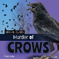 Cover: Murder of Crows - Cherry Lake Publishing
