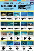 Cover: Malediven Fisch-Feldfuhrer - Atoll Editions
