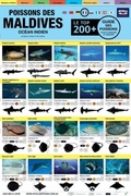 Cover: Maldives Guide Des Poissons - Atoll Editions