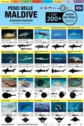 Cover: Maldive Guida Dei Pesci - Atoll Editions