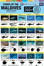 Cover: Maldives Fish Field Guide "Top 200+" - Atoll Editions