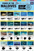 Cover: Maldives Fish Field Guide "Top 200+" - Atoll Editions