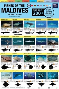 Enlarge image Cover: Maldives Fish Field Guide "Top 200+" - Atoll Editions