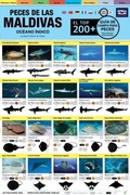 Cover: Maldivas Guia De Campo Para Peces - Atoll Editions