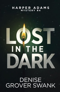 Enlarge image Cover: Lost in the Dark - Dgs