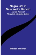 Cover: Negro life in New York's Harlem - ALPHA EDITION