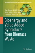 Cover: Bioenergy and Value Added Byproducts from Biomass Waste - Springer