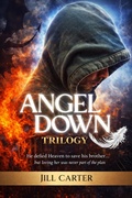 Cover: Angel Down Trilogy - Self published