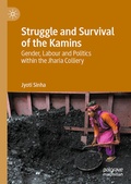 Cover: Struggle and Survival of the Kamins - Palgrave Macmillan