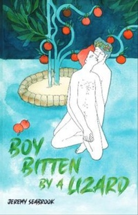 Bild vergrößern Bild: Boy Bitten by a Lizard - Reconnecting Rainbows Press