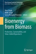 Cover: Bioenergy from Biomass - Springer