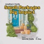 Cover: Small Packages Big Impact - Page Publishing Inc