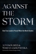 Cover: Against the Storm - Wiley